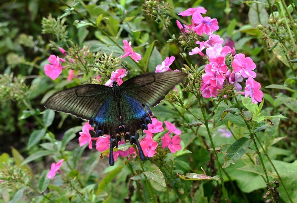 Photograph by Светлана Титова