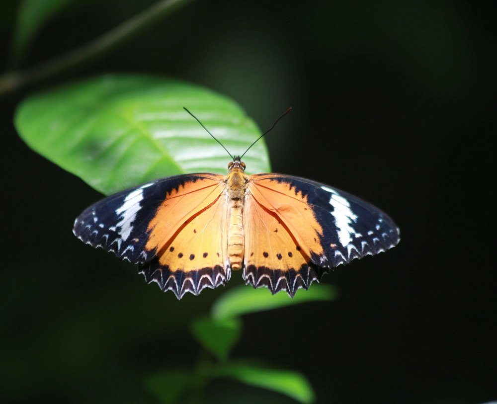 Photograph by Александр Юдин