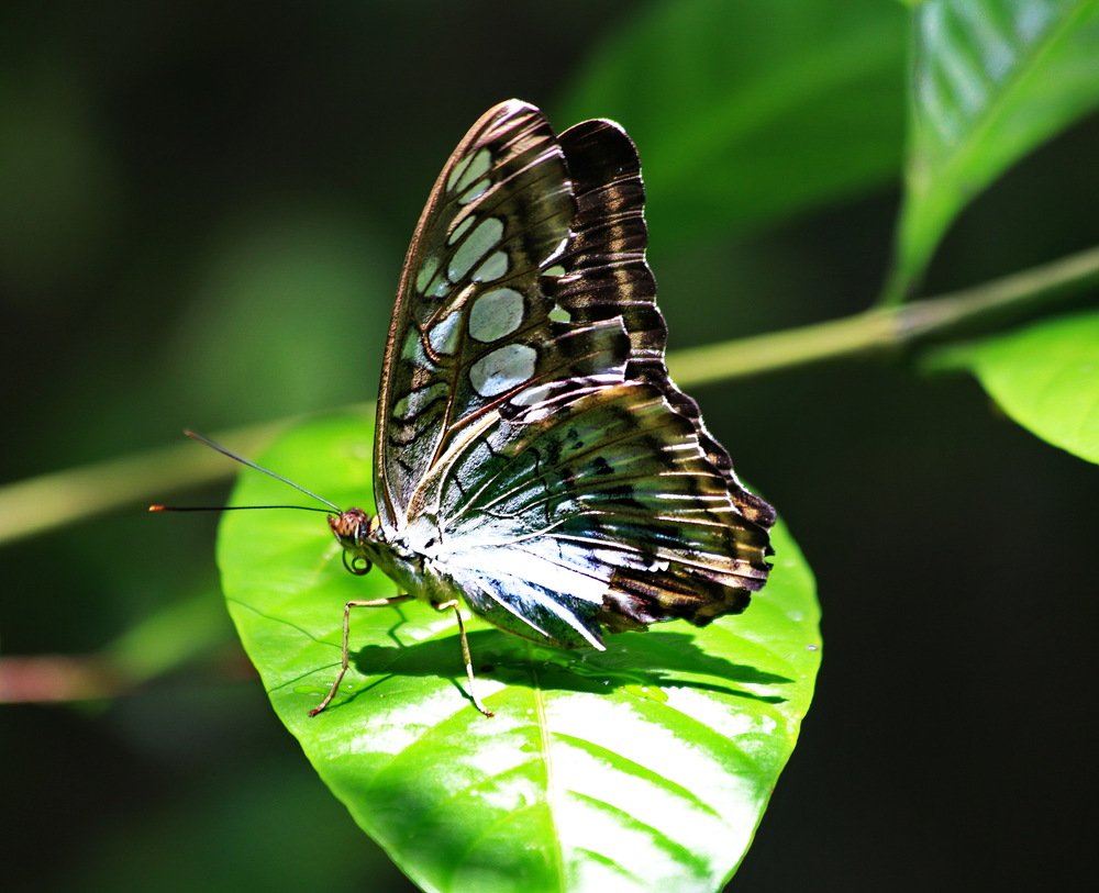 Photograph by Александр Юдин