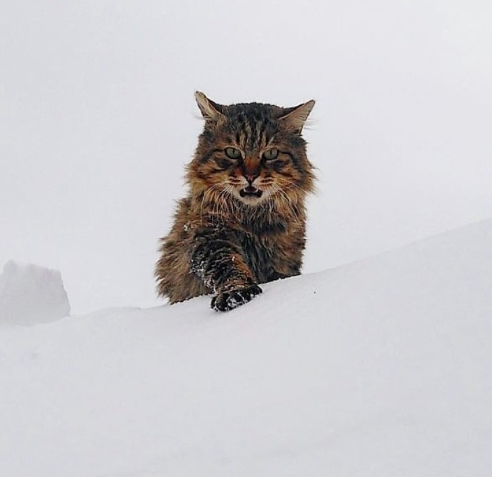 Photograph by Жанна Усатова