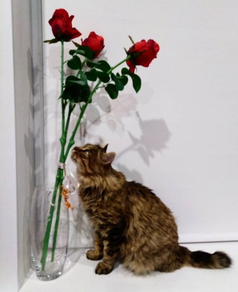 Photograph by Жанна Усатова