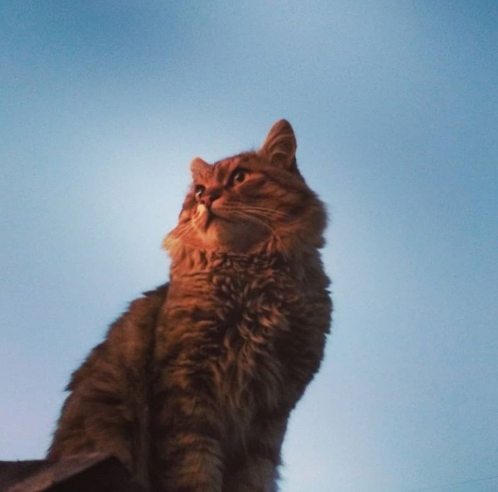 Photograph by Жанна Усатова