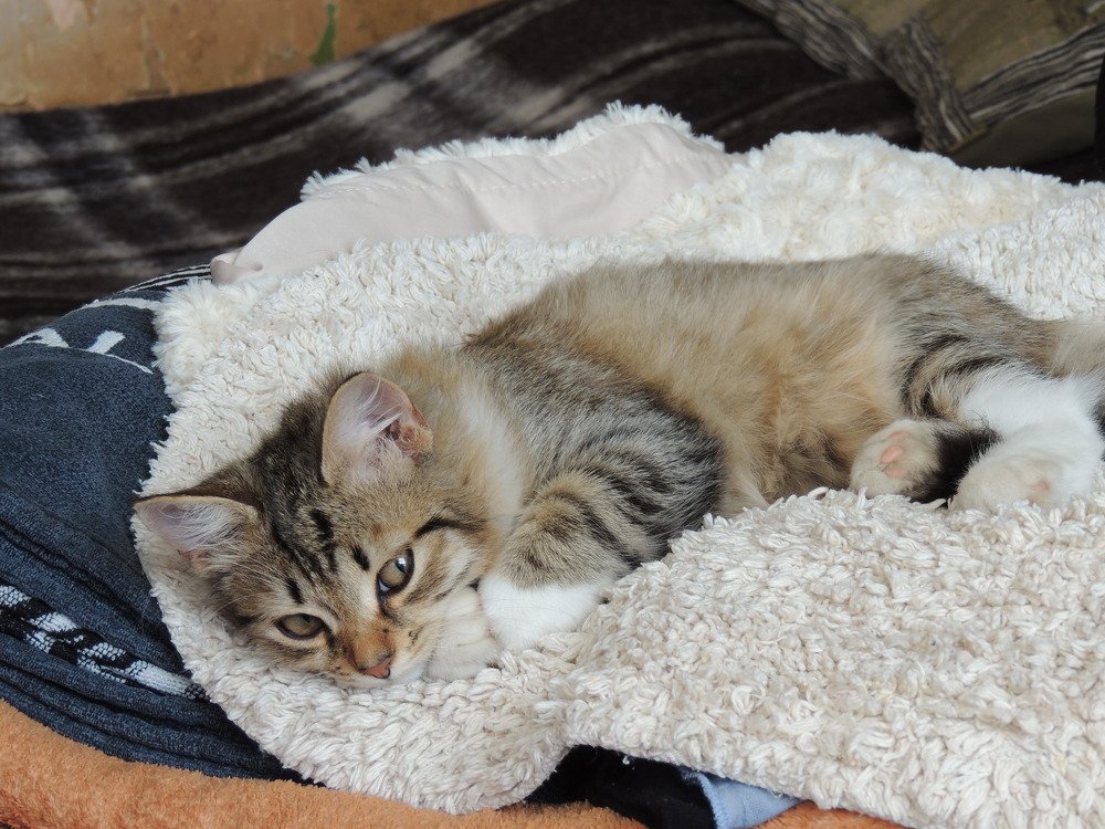 Photograph by Vladimir