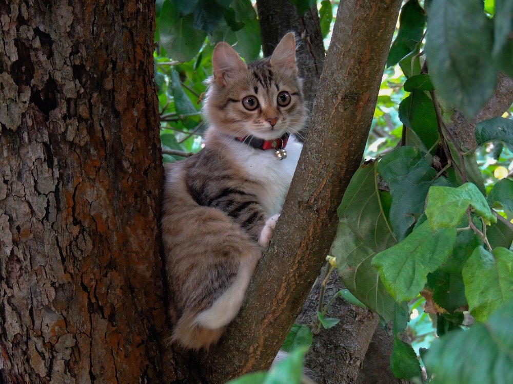 Photograph by Vladimir