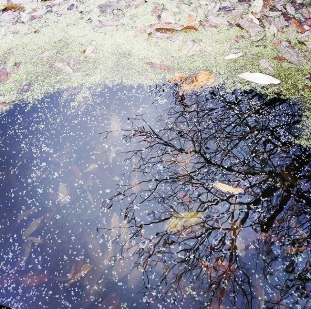 Photograph by Жанна Усатова