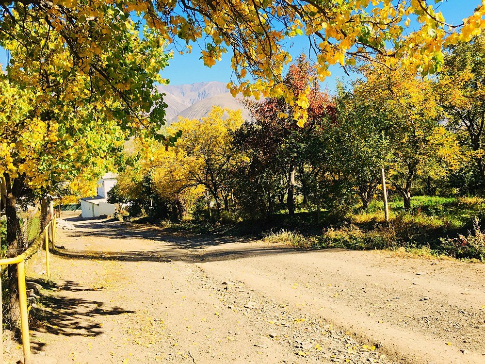 Photograph by Елена Кадирова