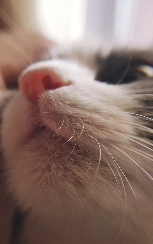 Photograph by Светлана Смирнова