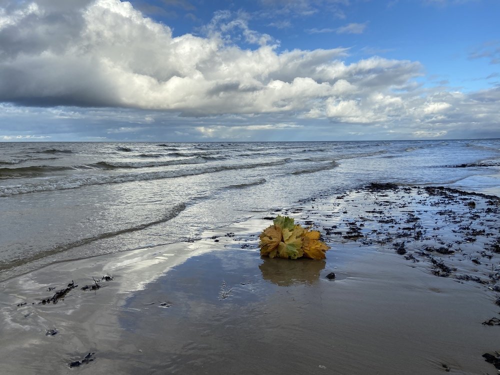 Photograph by Александра Ярнова