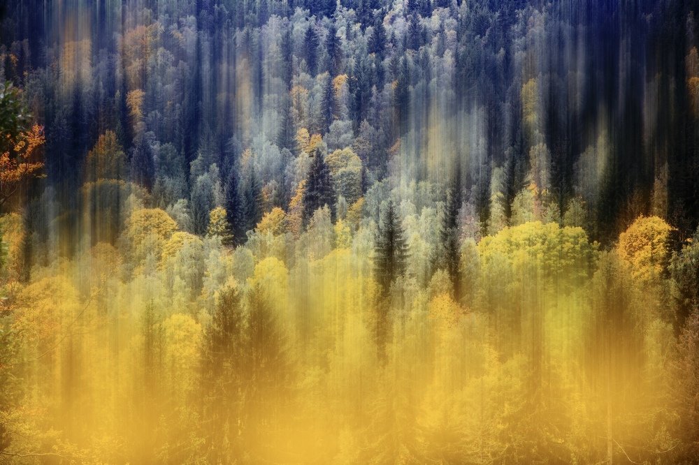 Photograph by Ксения Максименко