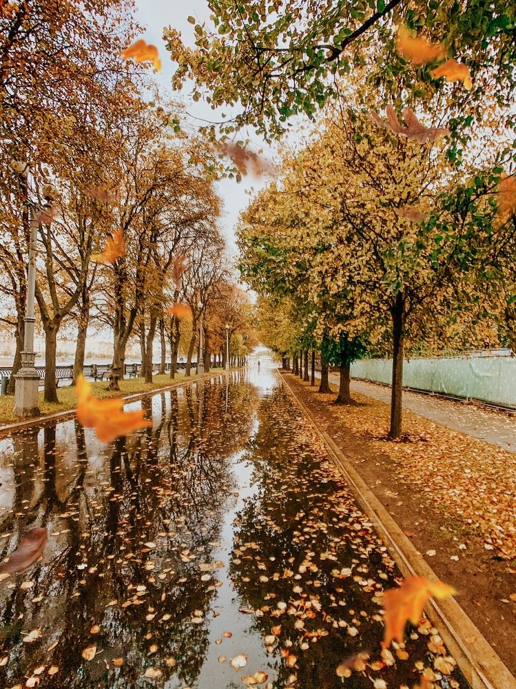 Photograph by Ксения Максименко