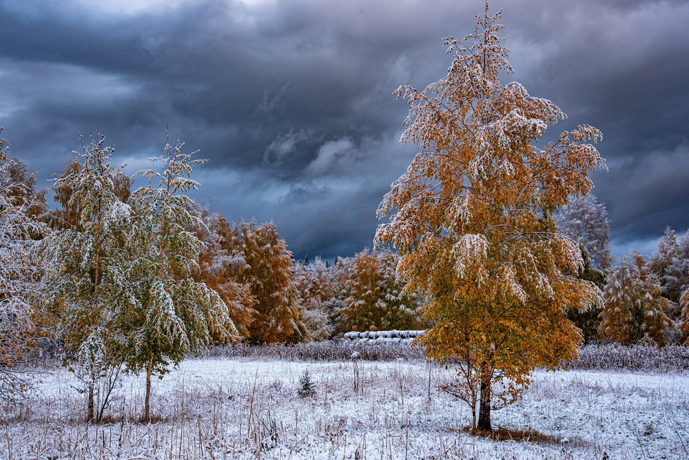 Первый снег Алтая.