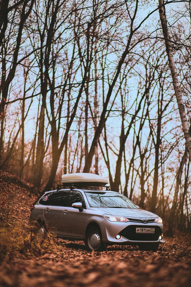 Photograph by Кристина Липатникова