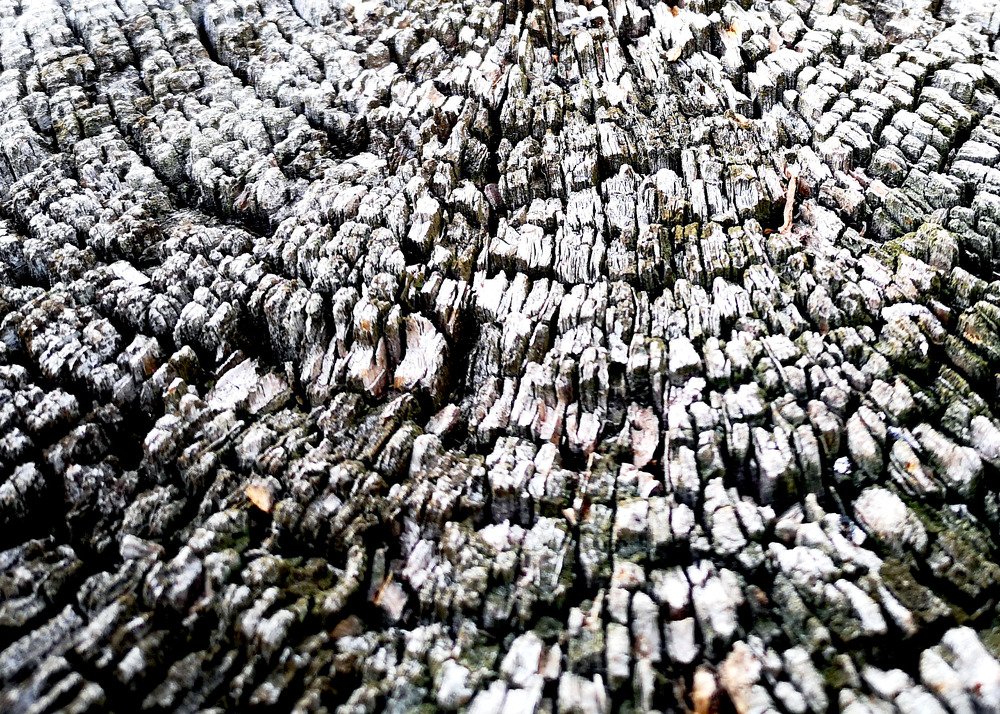 Photograph by Marina Razheva