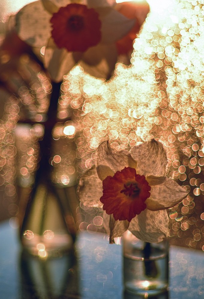 Photograph by Ксения Помогаева