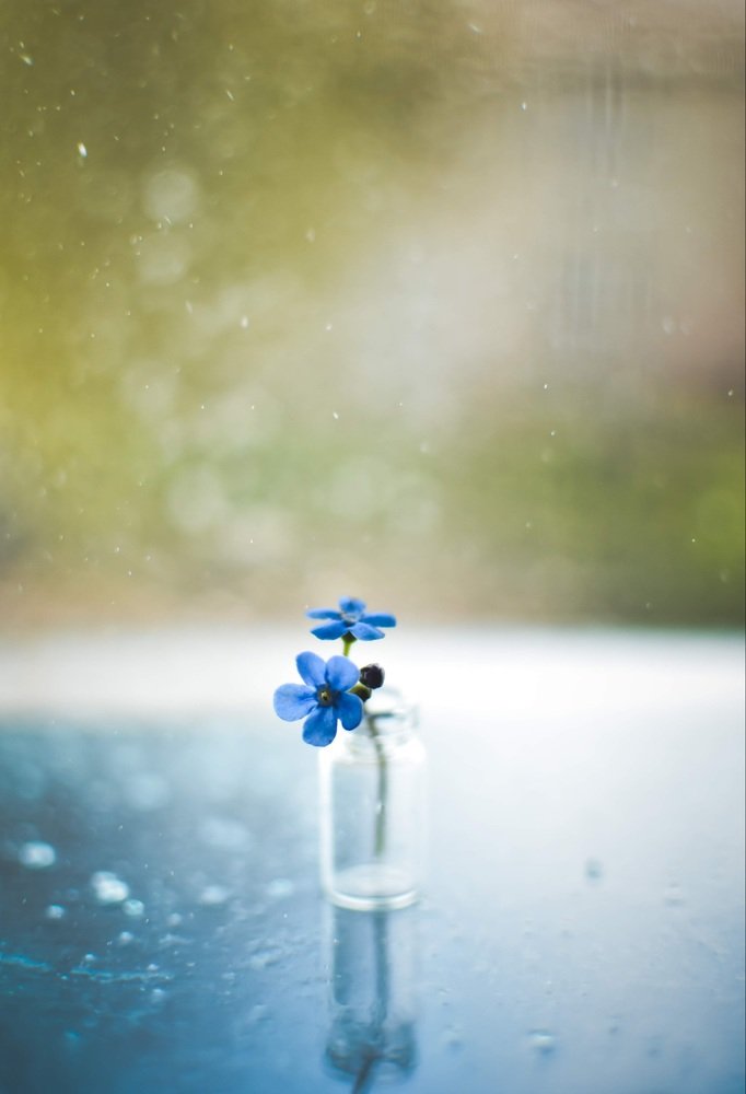 Photograph by Ксения Помогаева