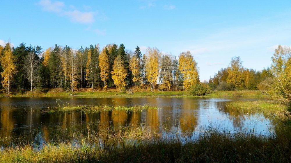 Photograph by Вячеслав Розмин