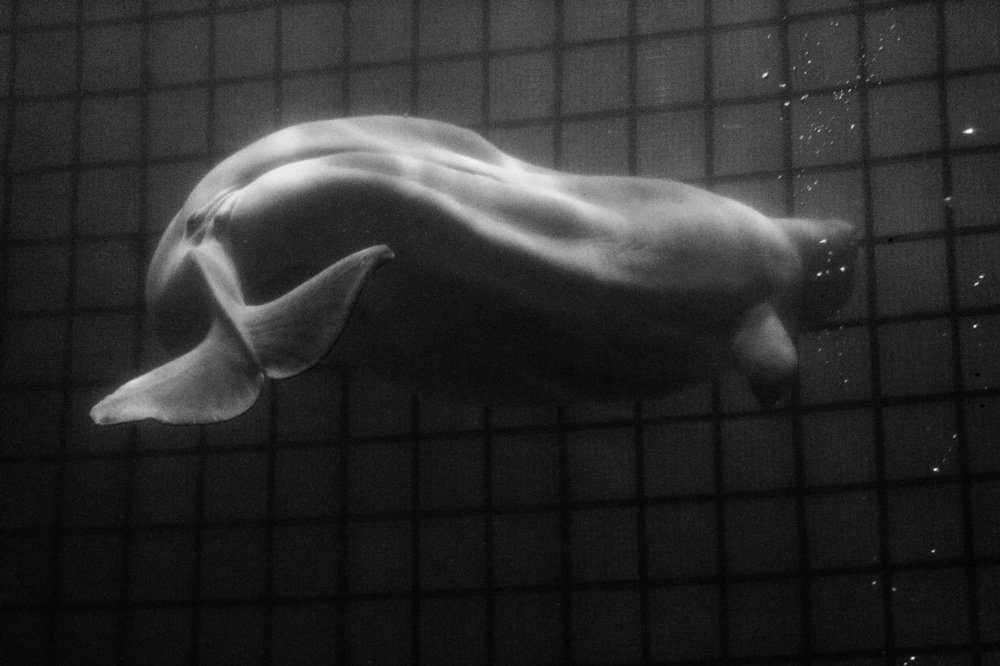 Photograph by Ирина