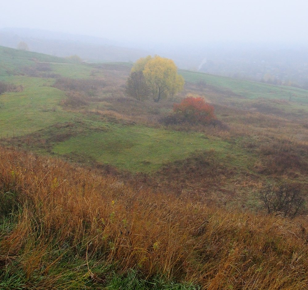 Photograph by Сергей Сережников