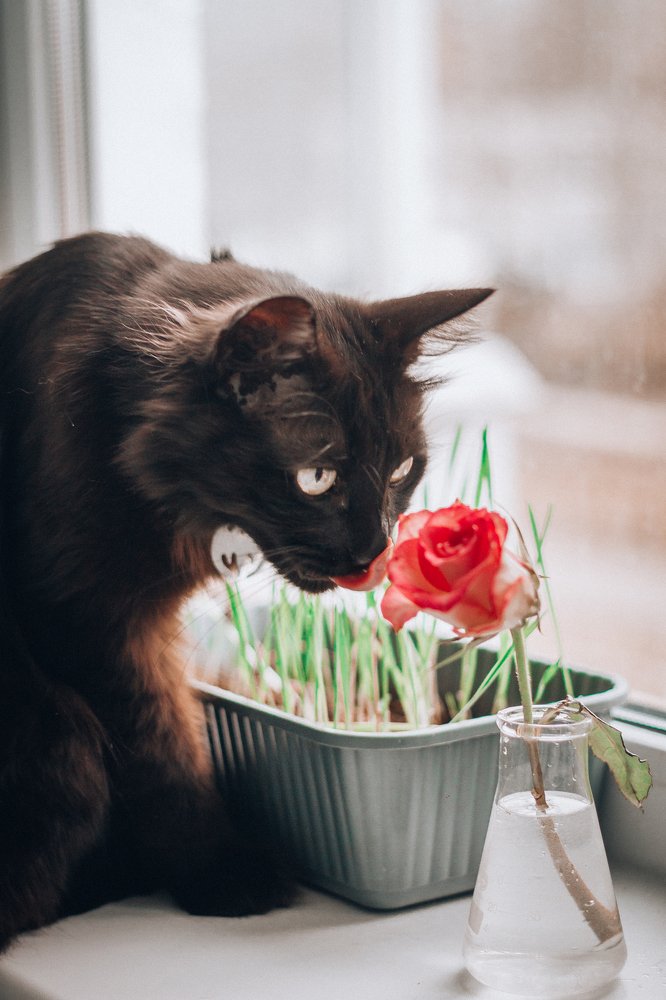 Photograph by Екатерина Степоненкова