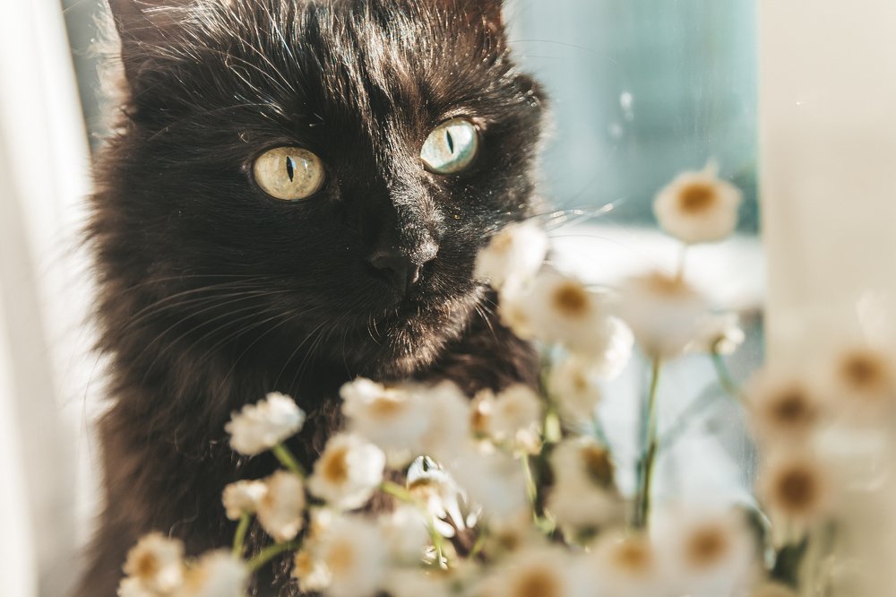 Photograph by Екатерина Степоненкова