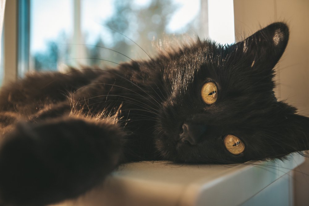 Photograph by Екатерина Степоненкова