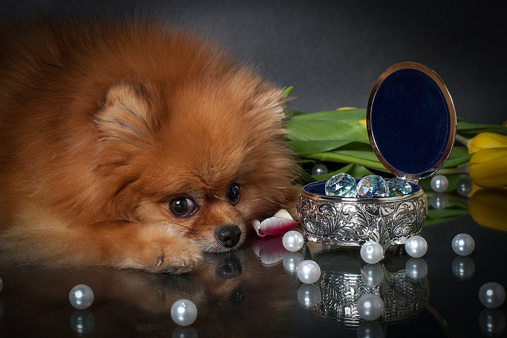 Photograph by Элеонора Чернова