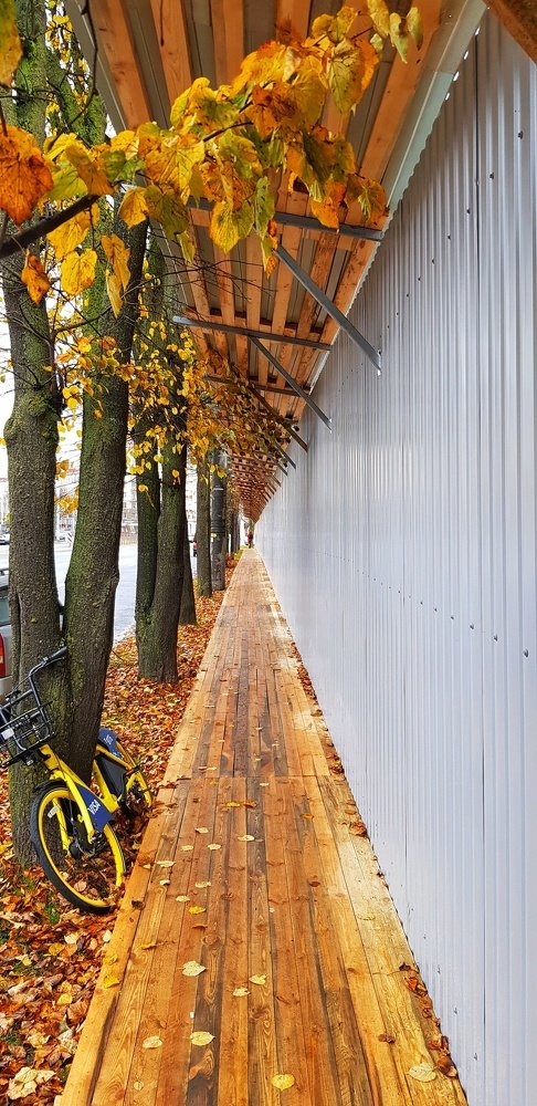 Photograph by Ольга Ёрш