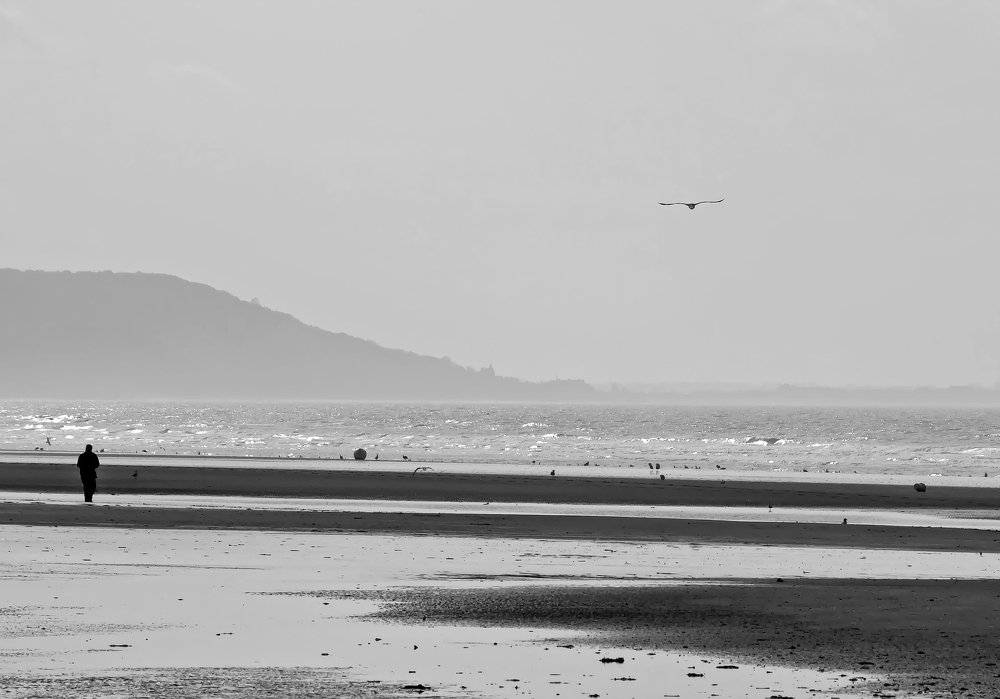 Photograph by Михаил Малец