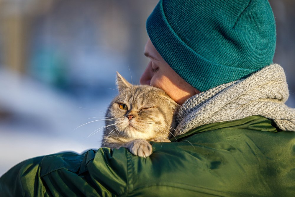 Фотография автора Михаил Балаев