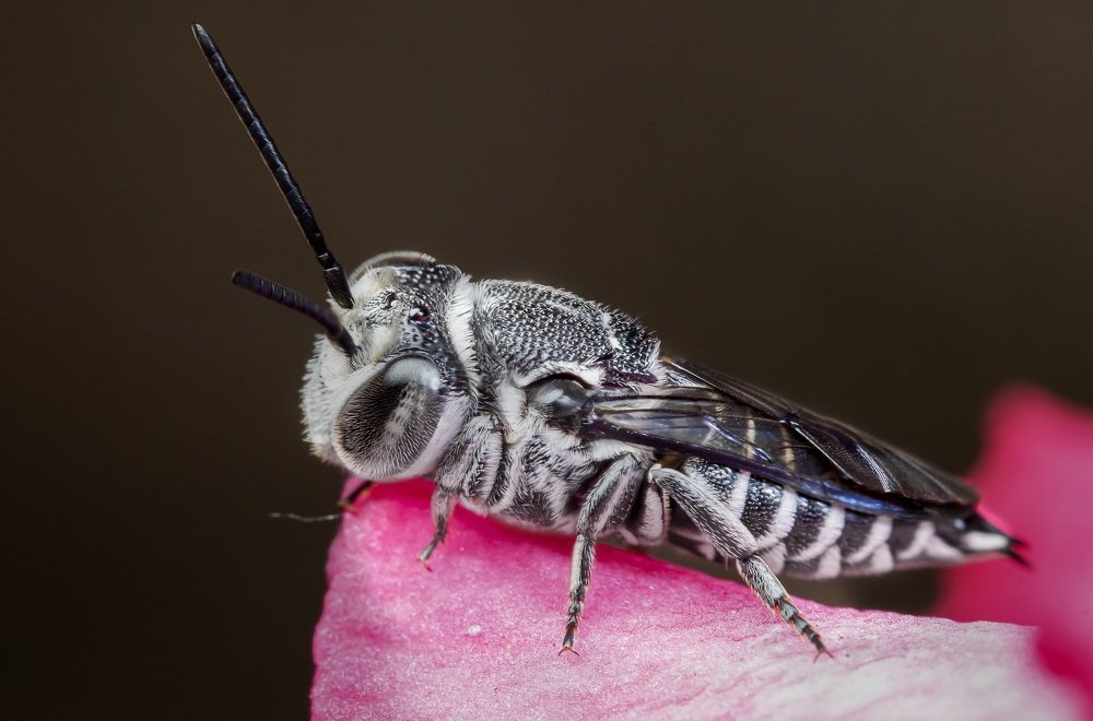 Photograph by Catherine Chong