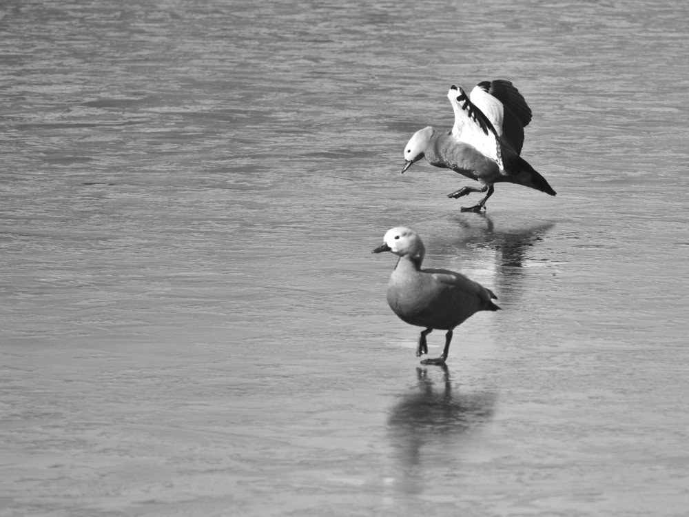 Photograph by Илюшечкина Екатерина