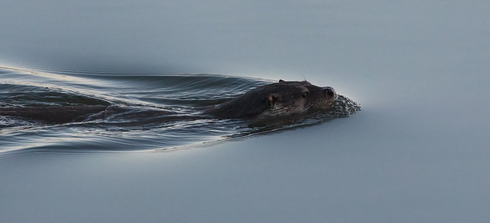 Photograph by Luis Miguel Rivas