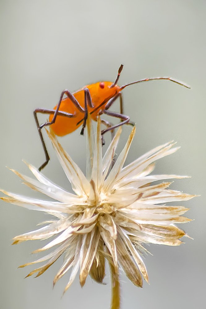 Photograph by Sai Ko Latt