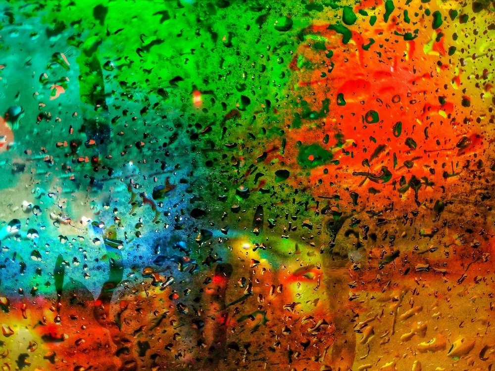 Photograph by Pramod Pramod