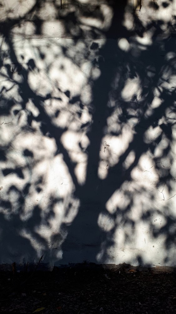 Фотография автора Дарина