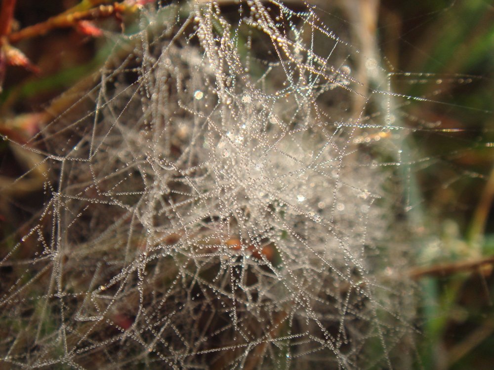 Photograph by Илюшечкина Екатерина