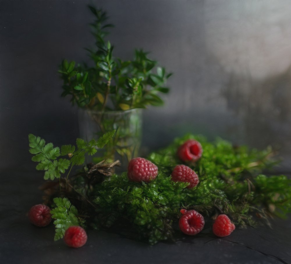 Photograph by Svoboda Andreeva