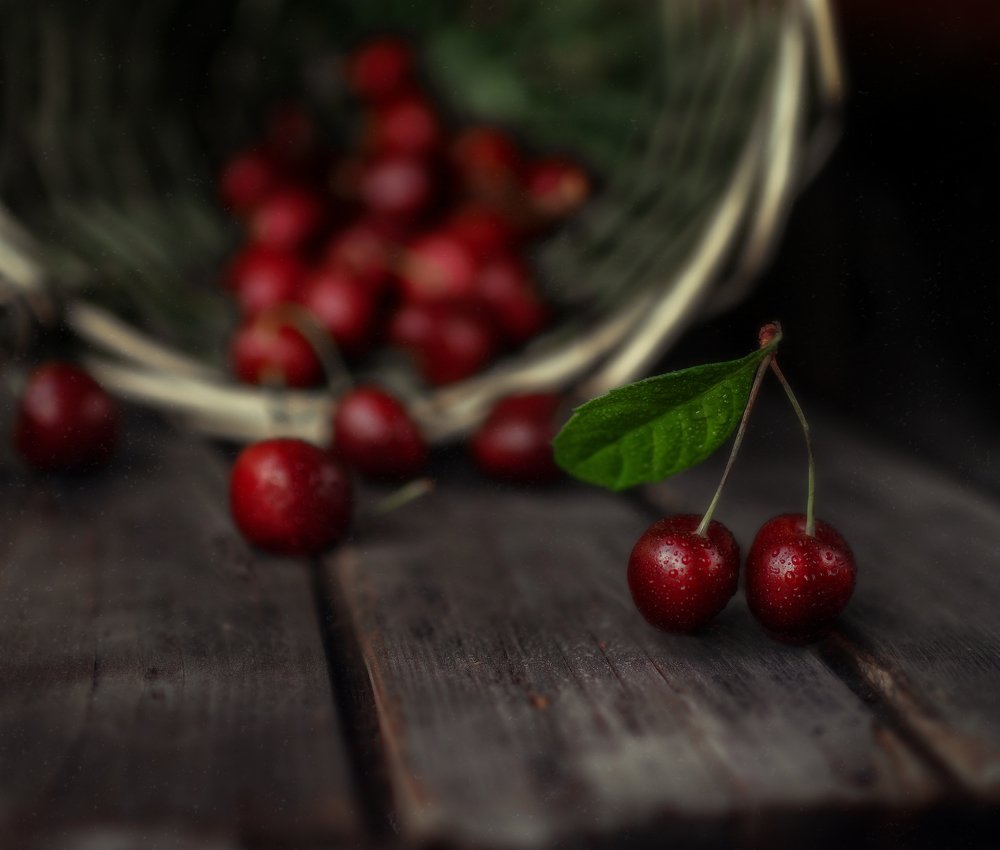 Photograph by Svoboda Andreeva