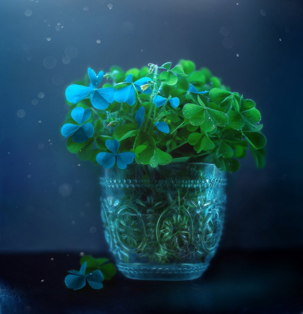 Photograph by Svoboda Andreeva