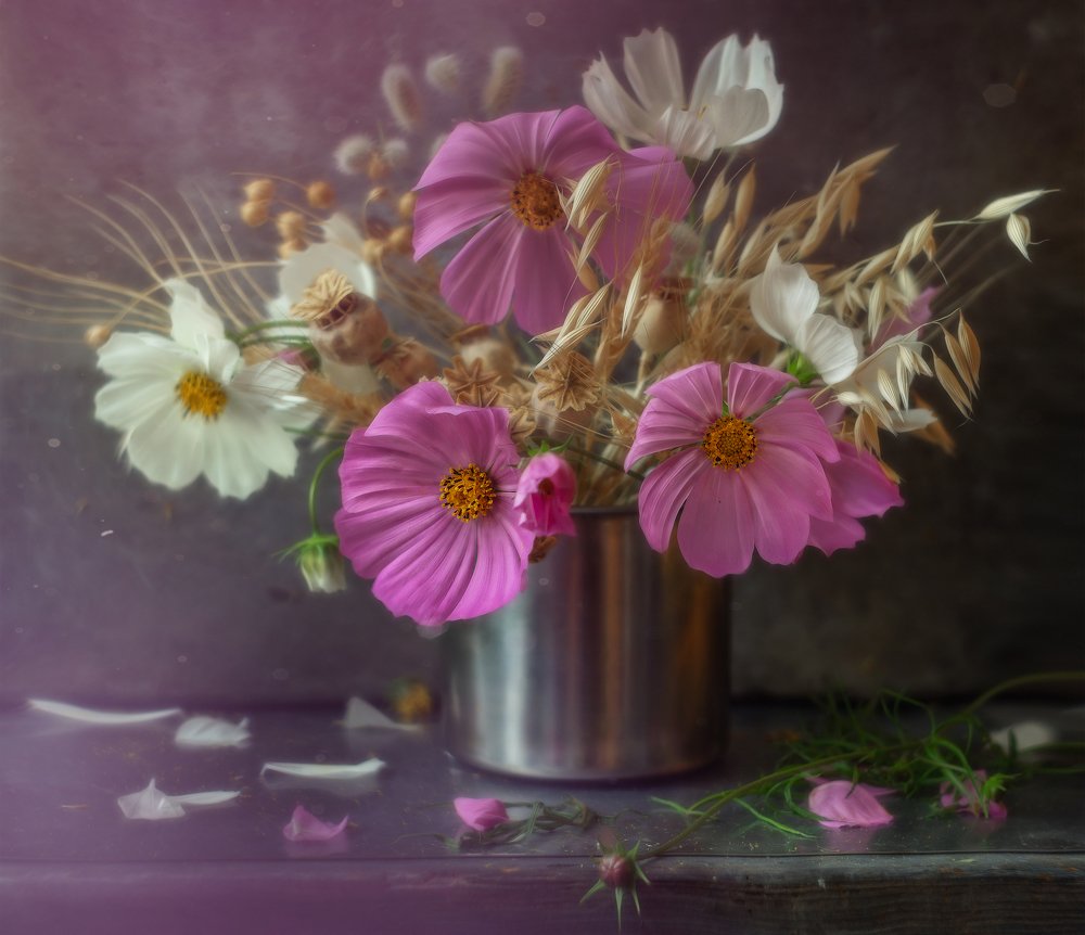 Photograph by Svoboda Andreeva