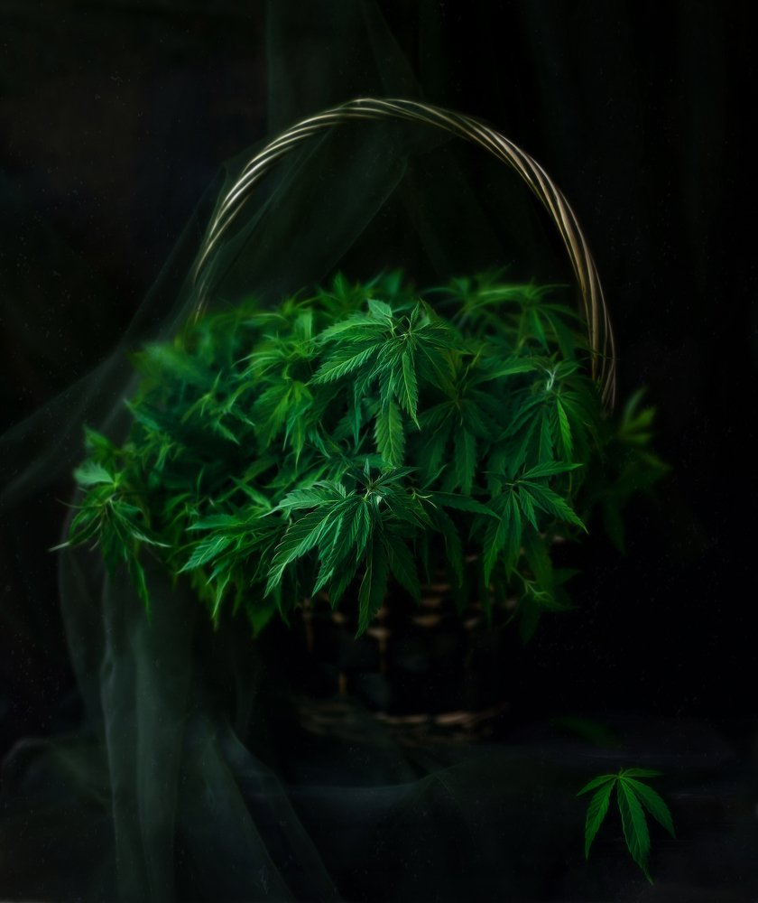 букет для друга*