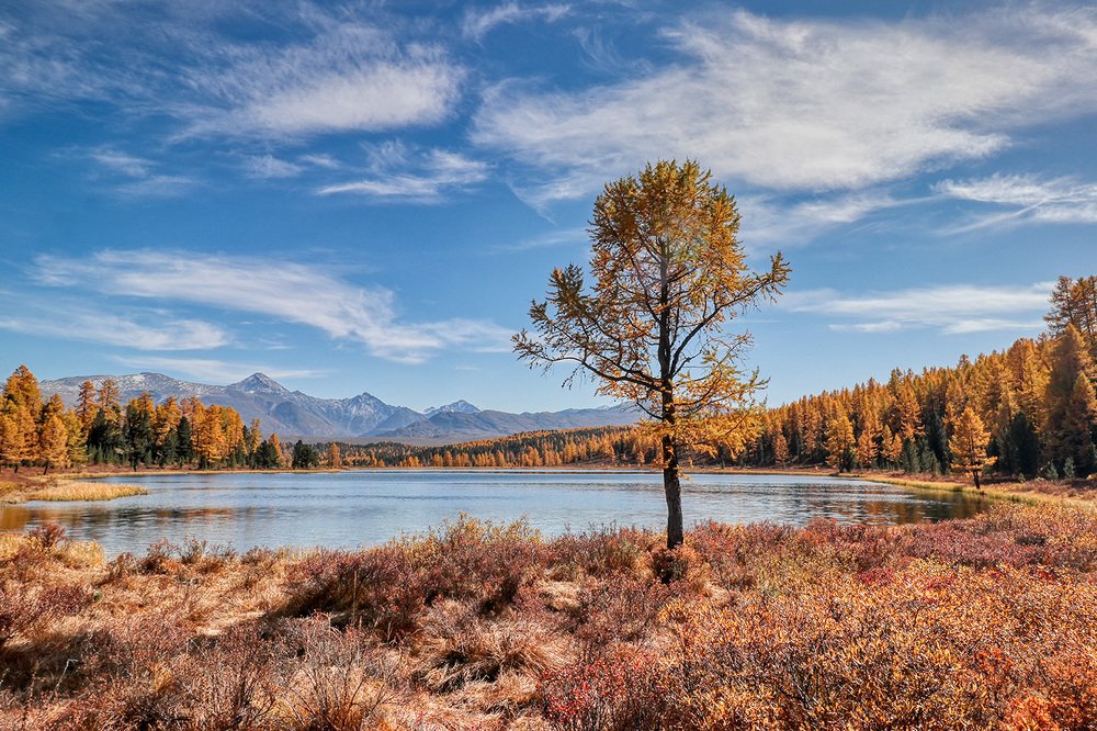 Photograph by Maria Tripoten