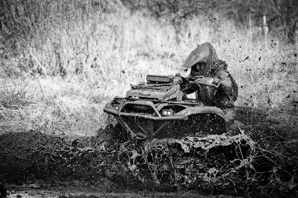 Photograph by Сокуренко Наталья