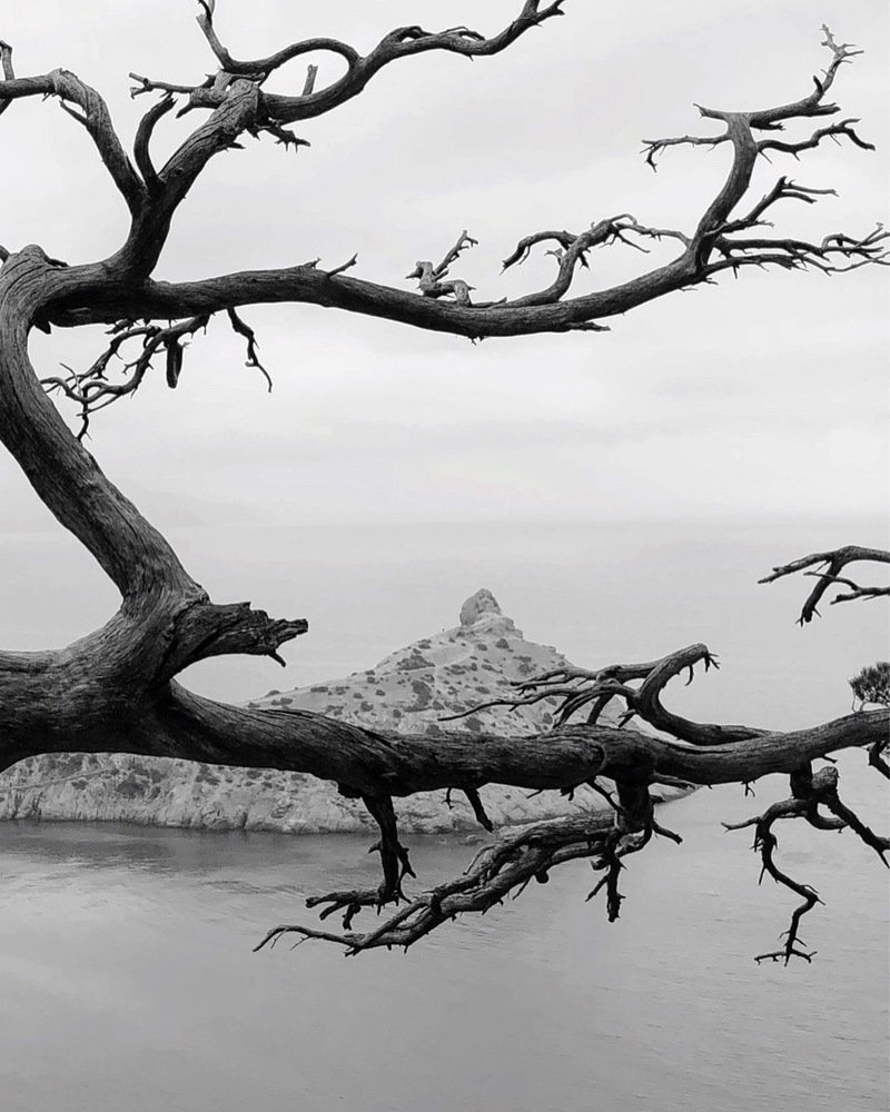 Photograph by Вера Силкина