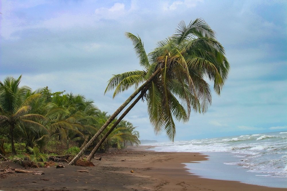 Tortuguero Beach