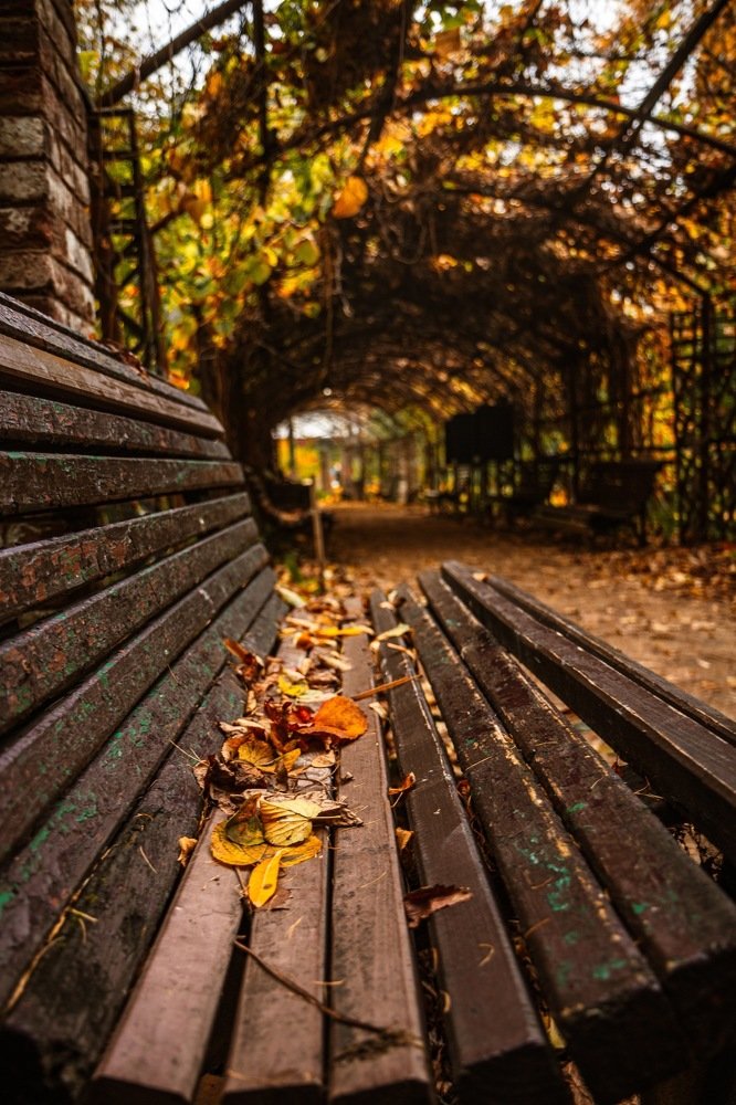 Photograph by Екатерина Титова