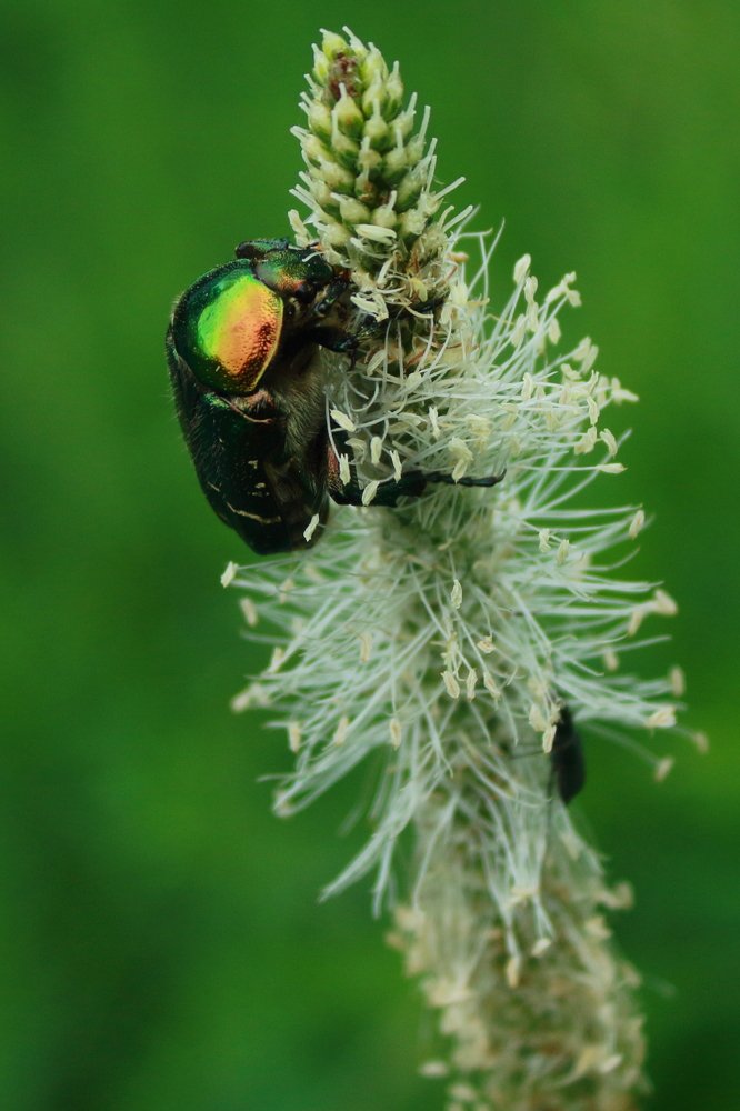 Photograph by Аленушка