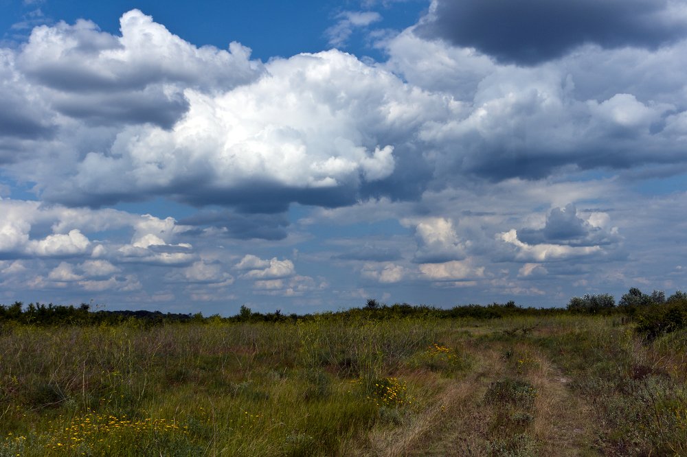 Photograph by Desanka Kocoljevac