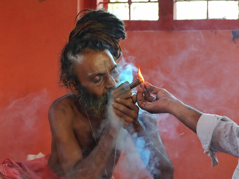 Photograph by Bapodara Sugha