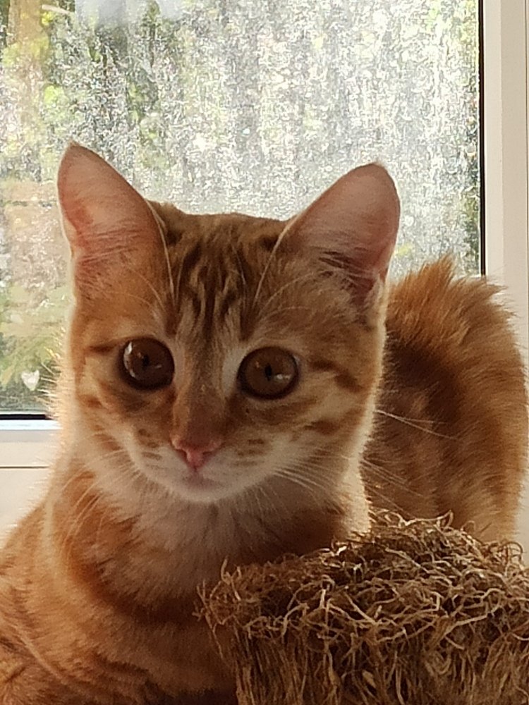 Photograph by Марина Суворова